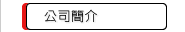 公司簡介